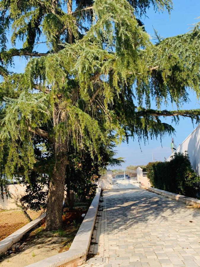 Trullo Labellavita Putignano Luaran gambar